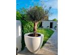 Ronde kunststof plantenbak voor buiten in de tuin / ACTIE, Tuin en Terras, Kunststof, Verzenden, Rond, Nieuw
