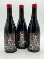 2020 Domaine de lEcu Invictus Cabernet Franc - Loire - 3, Nieuw