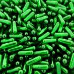 Capsules Maat 2 Groen/Transparant       1000 stuks, Ophalen of Verzenden, Nieuw