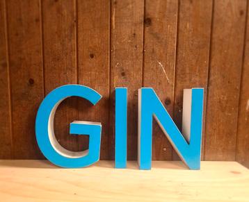GIN in LED letters beschikbaar voor biedingen