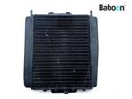 Radiateur Piaggio | Vespa MP3 300 ie LT Sport 2009-2014, Verzenden, Gebruikt