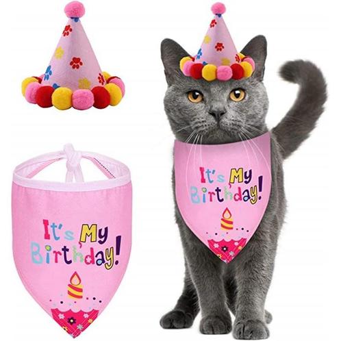 Poezen verjaardagset 2-delig Its my Birthday, Dieren en Toebehoren, Katten-accessoires, Nieuw, Verzenden