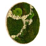 Vintlux Mosschilderij Rond 100 cm Ongelakt Eiken - Svendbor, Nieuw