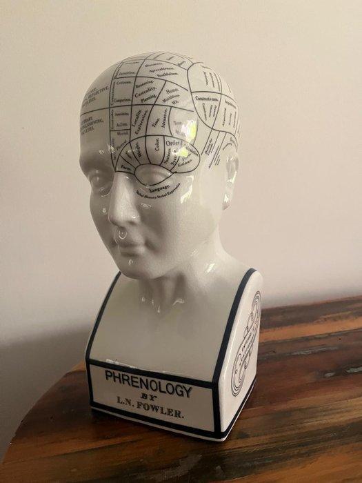Medisch instrument - Porselein - Schedel leer - Phrenology, Antiek en Kunst, Antiek | Wandborden en Tegels