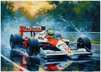 Ayrton Senna: De King of Rain 1988 Formula One World, Verzamelen, Nieuw