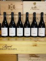 2018 Cotarella, Ogra - Lazio - 6 Flessen (0.75 liter), Nieuw
