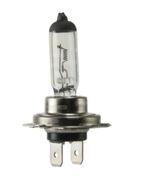 Gloeilamp H7 24 V 100 W, Ophalen of Verzenden, Nieuw