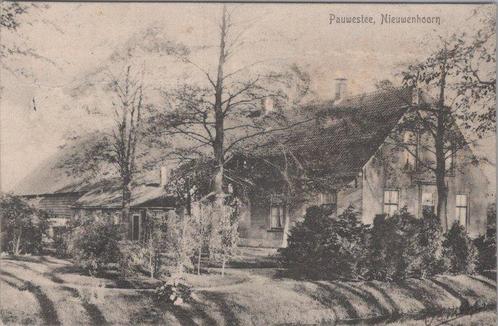 NIEUWENHOORN - Pauwestee, Verzamelen, Ansichtkaarten | Nederland, Verzenden