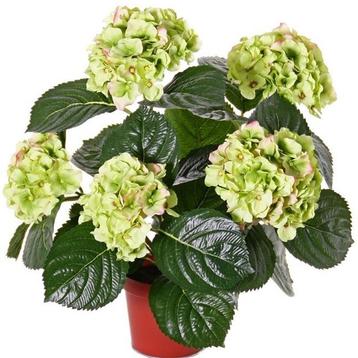 Kunstplant hortensia plant groen/roze 36 cm - Kunst horten..