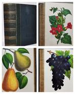 James Anderson - The New Practical Gardener and Modern