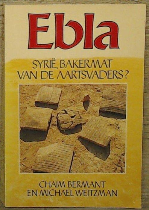 Geschiedenis van de lage landen 2 / Geschiedenis van de lage, Boeken, Overige Boeken, Gelezen, Verzenden