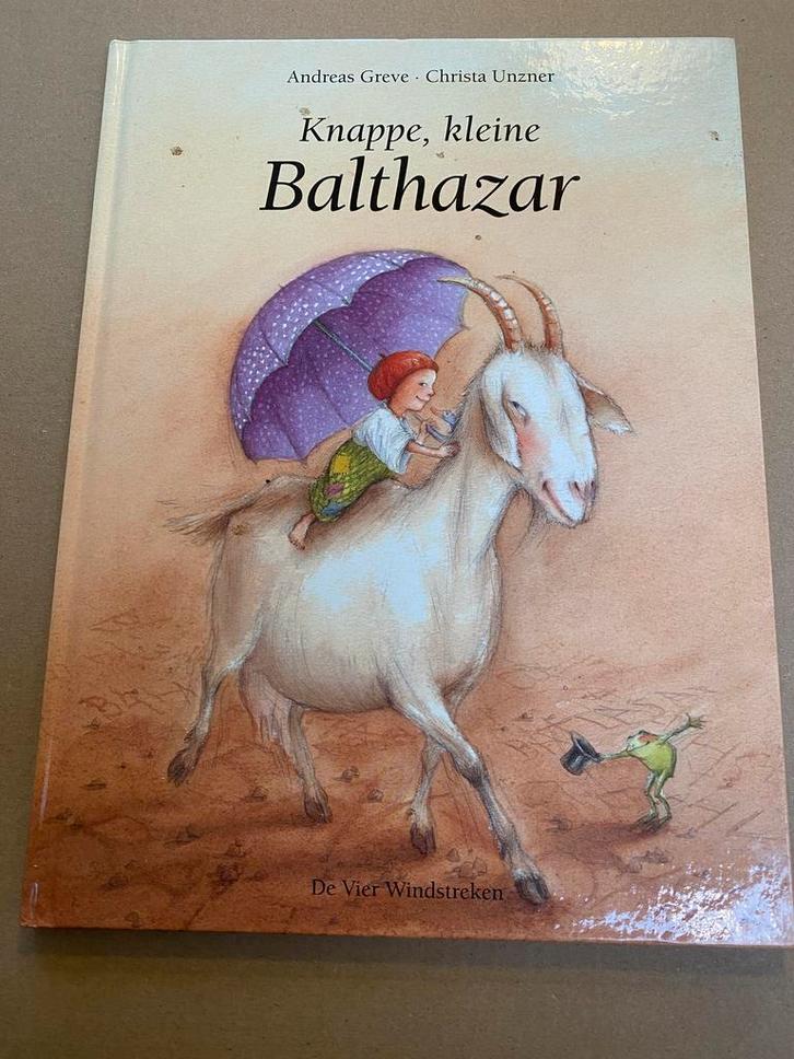Prentenboek - Knappe, kleine Balthazar - over onderschatting, Boeken, Kinderboeken | Kleuters, Fictie algemeen, 5 of 6 jaar, Zo goed als nieuw