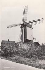 HERVELD - Molen, Verzamelen, Ansichtkaarten | Nederland, Verzenden, Gelopen