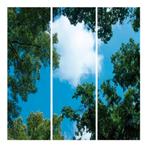 Wolk-bos plafond | Fotoprint | verdeeld over 3 panelen, Ophalen of Verzenden, Nieuw in verpakking, Verlichting