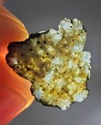 De mysterieuze niet-groep Achondriet NWA 15915. Vreemde