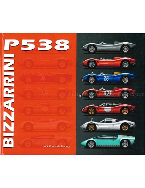 BIZZARRIN P538, Boeken, Auto's | Boeken