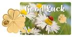Good Luck | 24 karaat Gouden Munt Coincard, Verzenden