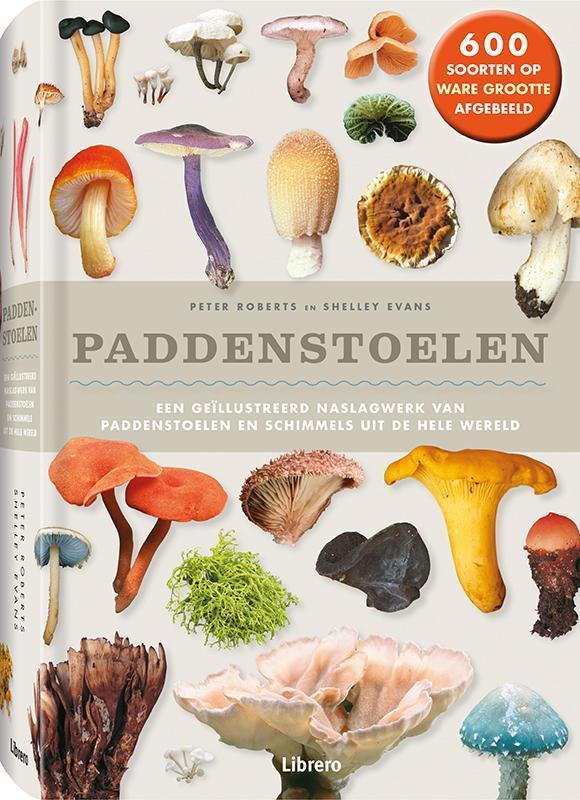 Paddenstoelen 9789089986689 Shelley Evans, Boeken, Kookboeken, Gelezen, Verzenden
