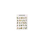 Gelamineerde Vogelposter Australische Vinken – Duurzaam &, Verzenden, Nieuw