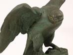 62cm - Large Hawk Sculpture  by Kontani Eigi  (Eiko