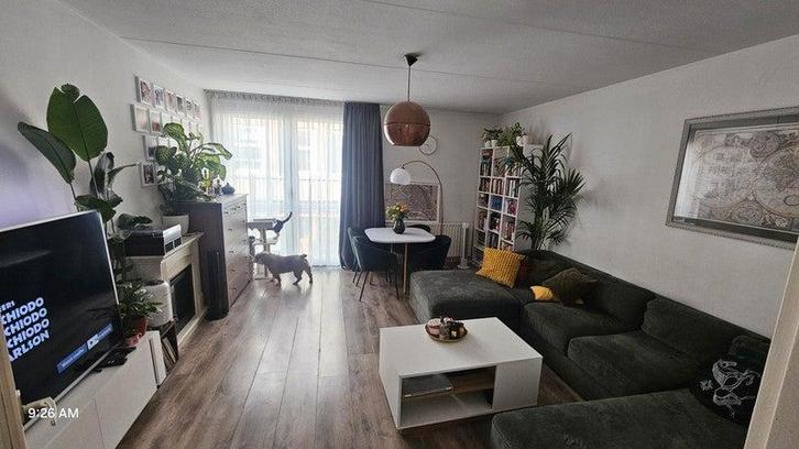 Te huur: Kamer Rapenburg in Amsterdam, Huizen en Kamers, Kamers te huur