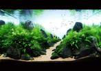 Landscape stone 10-15cm - aquarium decoratie stenen, Dieren en Toebehoren, Vissen | Aquaria en Toebehoren, Verzenden, Nieuw
