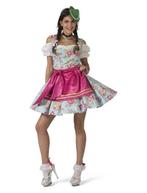 Tiroler jurk Hilda, Kleding | Dames, Carnavalskleding en Feestkleding, Nieuw, Carnaval, Kleding, Verzenden