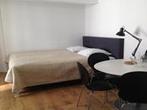 Studio Kapoenstraat in Maastricht, Overige soorten, Limburg