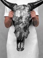 Geen veilingreserve - Adembenemende koeienschedel met