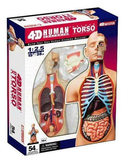 4D Master 4D puzzel - Wetenschap biologie Super Deluxe 26..., Verzamelen, Speelgoed, Verzenden