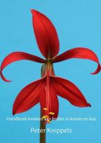 9789402173239 Handboek kweken van bollen in kamer en kas, Verzenden, Zo goed als nieuw, Peter Knippels