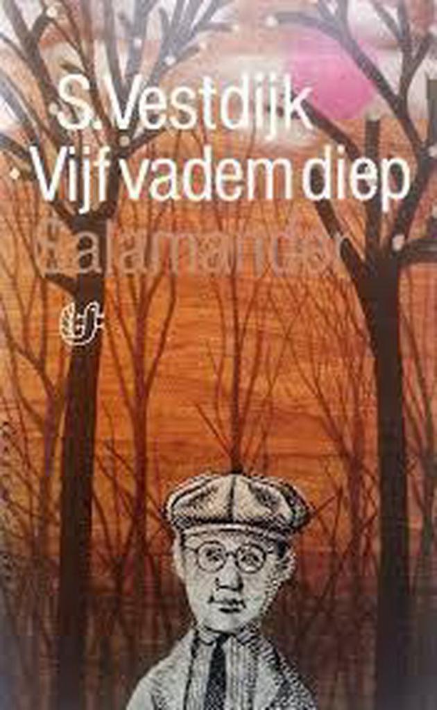 Vyf vadem diep / Verzamelde romans van Simon Vestdijk, Boeken, Romans, Gelezen, Verzenden