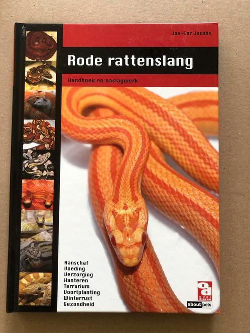Handboek en Naslagwerk Terrarium - Rode Rattenslang - NIEUW, Boeken, Dieren en Huisdieren, Zo goed als nieuw, Reptielen of Amfibieën