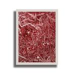 N. Magro - from “9 Drawings of Nature - Marron De