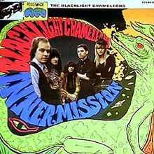 LP gebruikt - The Blacklight Chameleons - Inner Mission, Cd's en Dvd's, Vinyl | Rock, Zo goed als nieuw, Verzenden