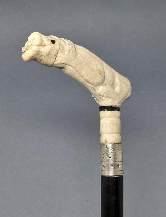 Wandelstok - Wit metaal - Uitgehouwen hond handle, Antiek en Kunst, Antiek | Overige Antiek