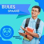 Spaans Bijles in Rotterdam - Boek nu je proefles!, Diensten en Vakmensen, Bijles, Privé-les en Taalles, Privéles, Examen- of Scriptiebegeleiding