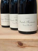 2022 Domaine de Chassorney - Saint-Romain Sous Roche -, Nieuw