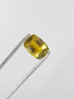 1 pcs Geel, Groen Toermalijn - 4.97 ct - Antwerp Laboratory, Nieuw