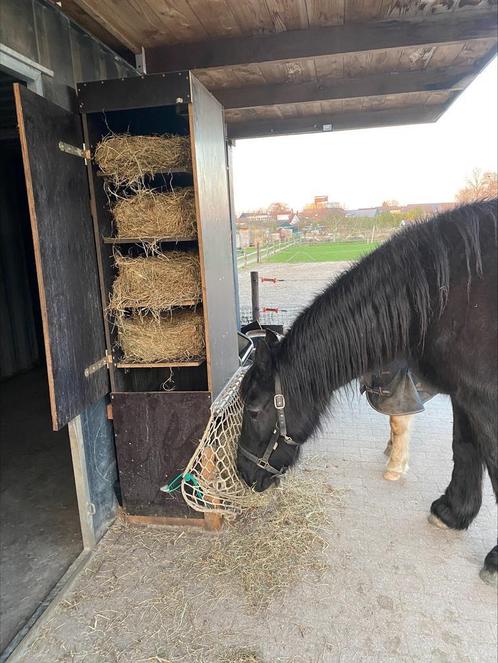 Zelfbouw hooivoerautomaat PaddockTweaks Haybutler DIY, Dieren en Toebehoren, Paarden en Pony's | Overige Paardenspullen, Overige soorten