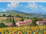 Raimondo Pacini (1974) - Tuscany landscape - Sunflowers &, Antiek en Kunst