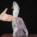 sculptuur, Collection of Birds: Winged Splendors - Quartz