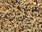 Volierezaad - Volierezaad 5 kilo - Overige zaden, Dieren en Toebehoren, Verzenden, Nieuw