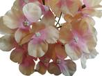 Hortensia los 15*10 cm. oranje roze 6 -/ stuk flowerwall, Ophalen of Verzenden, Nieuw