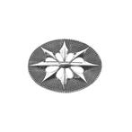 Vintage zilveren starburst broche (Alle Zilveren sieraden), Sieraden, Tassen en Uiterlijk, Broches, Ophalen of Verzenden, Gebruikt