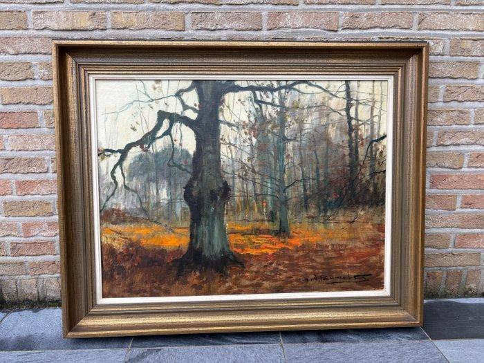 Henri Joseph Pauwels (1903-1983) - Bos in de herfst, Antiek en Kunst, Kunst | Schilderijen | Klassiek