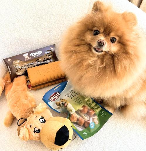 Honden verjaardags pakket 4-delig, Dieren en Toebehoren, Honden-accessoires, Nieuw, Verzenden