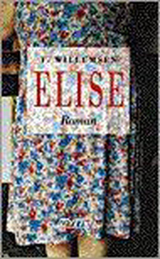 ELISE 9789020459654 F. Willemsen, Boeken, Romans, Zo goed als nieuw, Verzenden