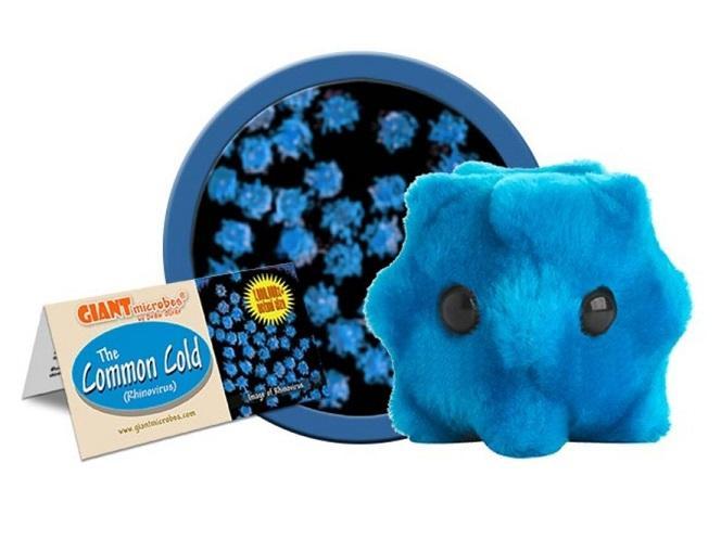 Common Cold knuffel, Giant Microbes (verkoudheid), Verzamelen, Speelgoed
