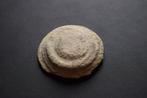Romeinse Rijk. Otacilia Severa (Augusta, AD 244-249).